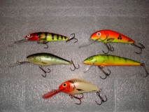 salmo