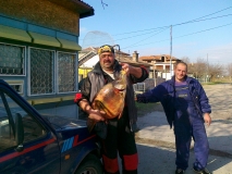 е това е номер 1