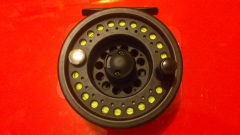 DSC 0119