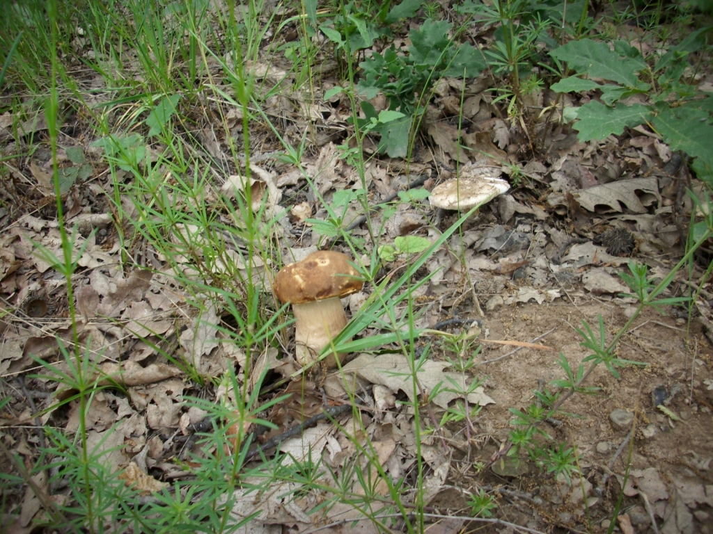 IMG 3456