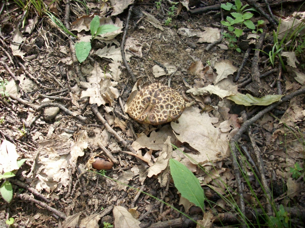 IMG 3573