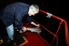 готов за скок