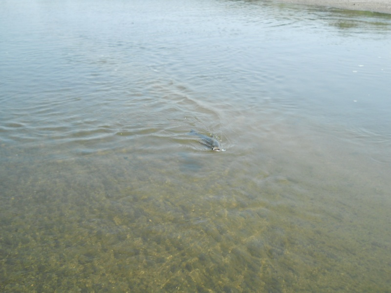 DSCN2649