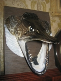 IMG 0026 (2)