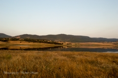 DSC 0166