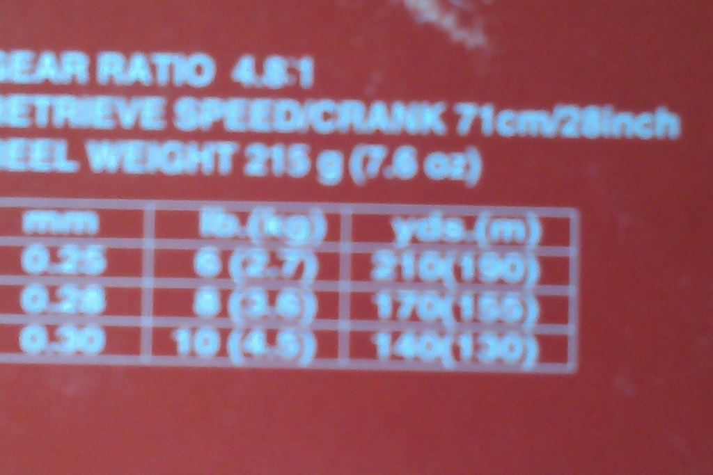 IMAG0313