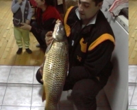 bscap0004