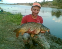 9kl.sharan