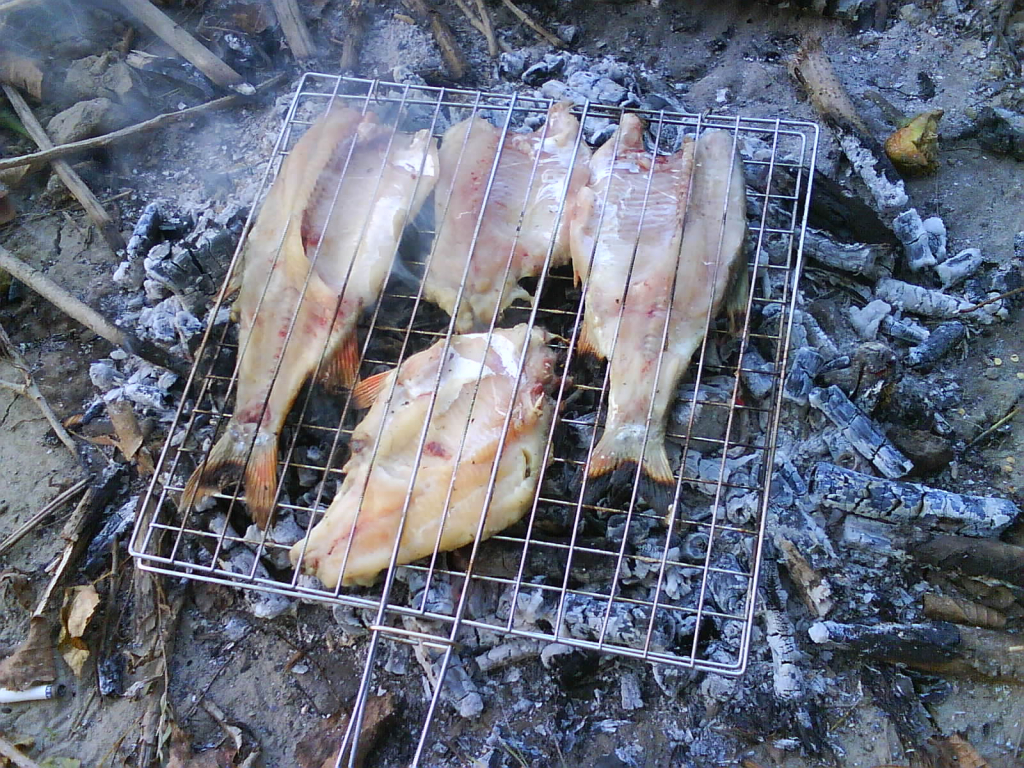 DSC00019