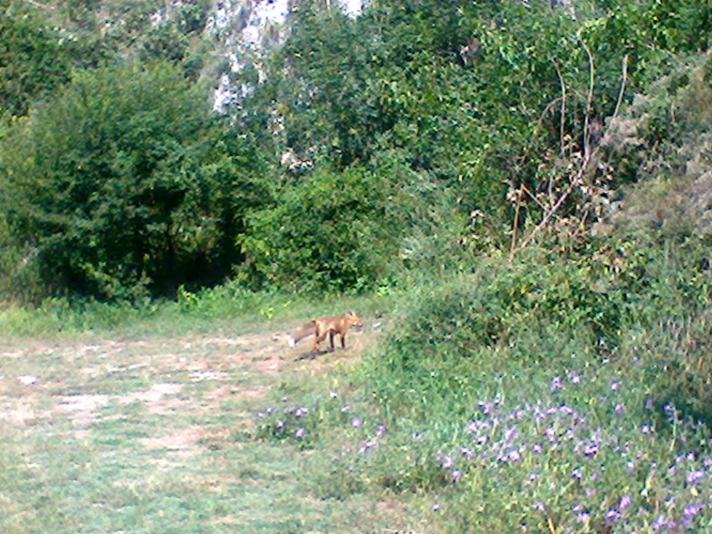 снимка0200.jpg