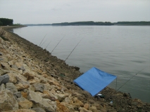 IMG 0717