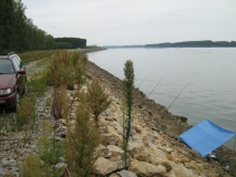 IMG 0718