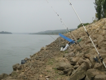 IMG 0727