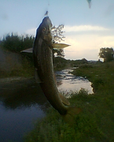 Снимка0035.jpg
