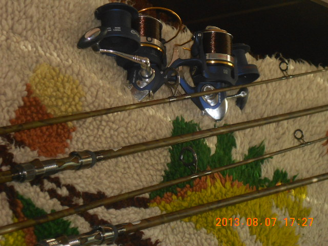 DSCN0958
