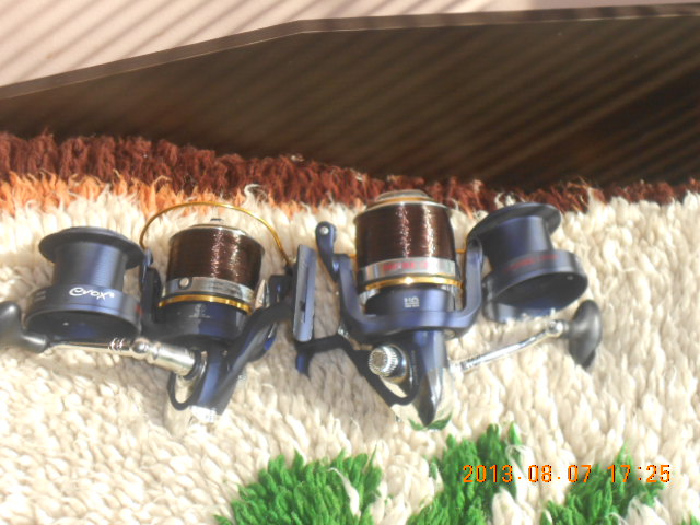 DSCN0954