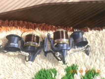 DSCN0954