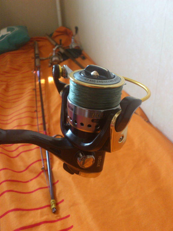 DSC 0135