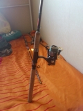 DSC 0136
