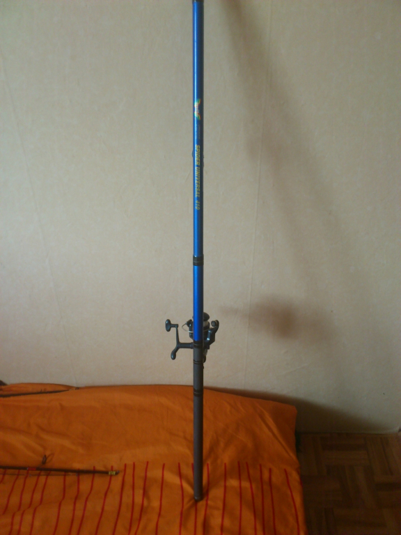 DSC 0137