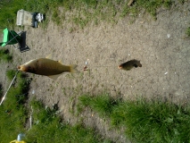 Photo0170