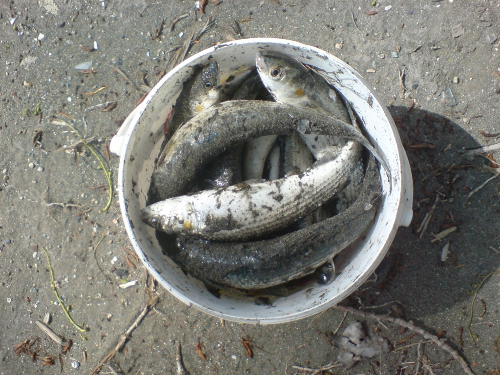 DSC01632
