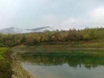 яз. Цонево, 29.09.2013