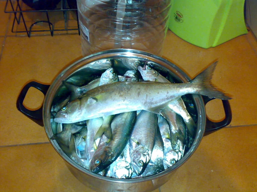 09-10-2013 -45 б