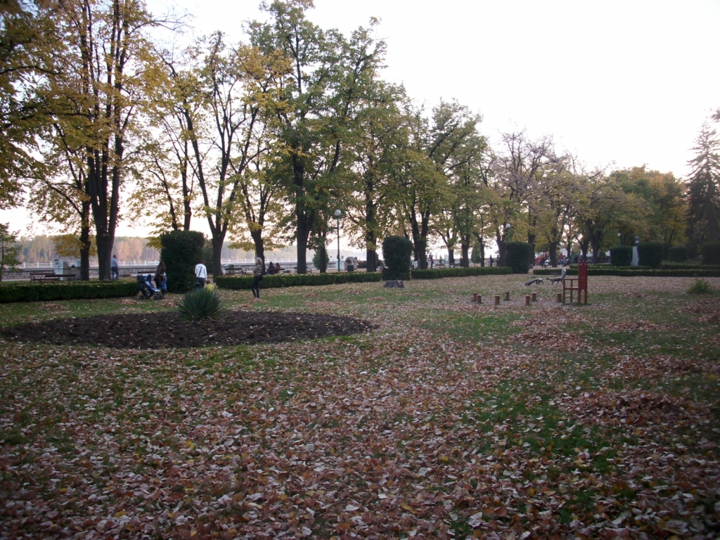 IMG 4547