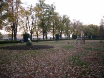 IMG 4547