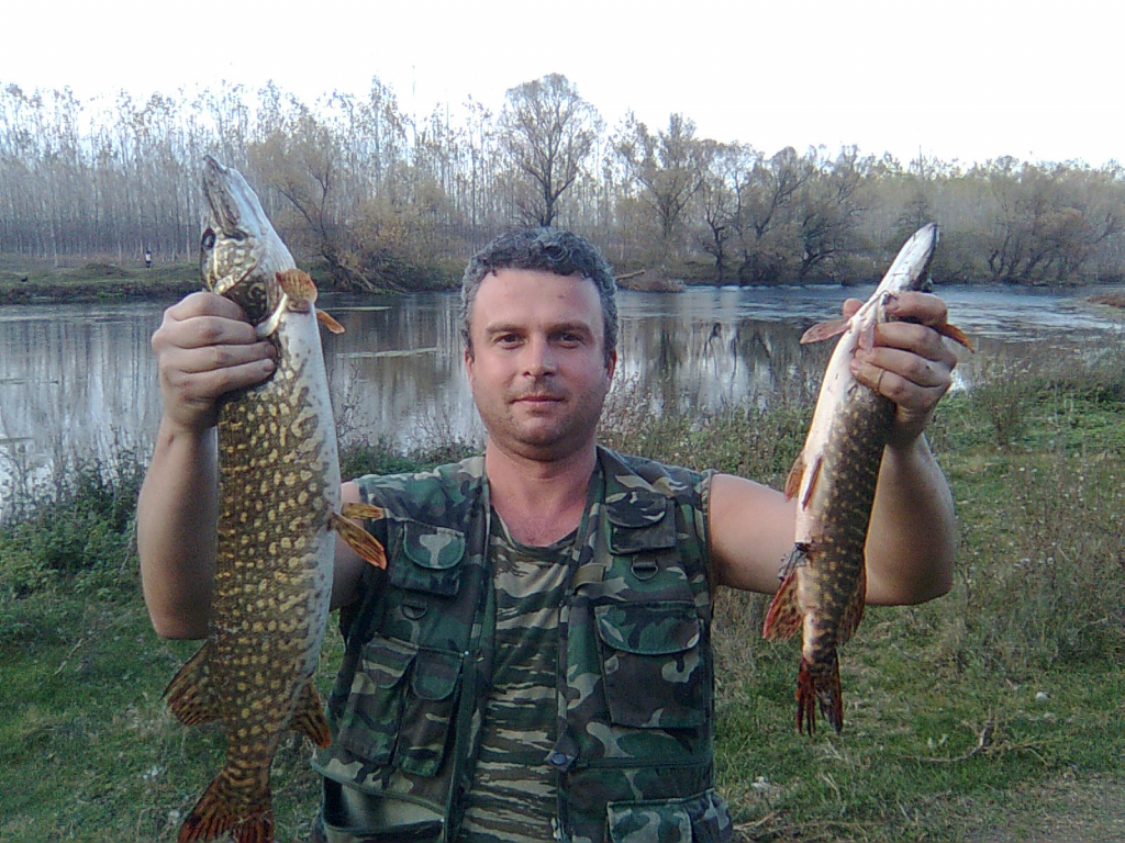 Щука от река Огоста 04.11.2013г.