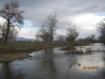 Picture 040