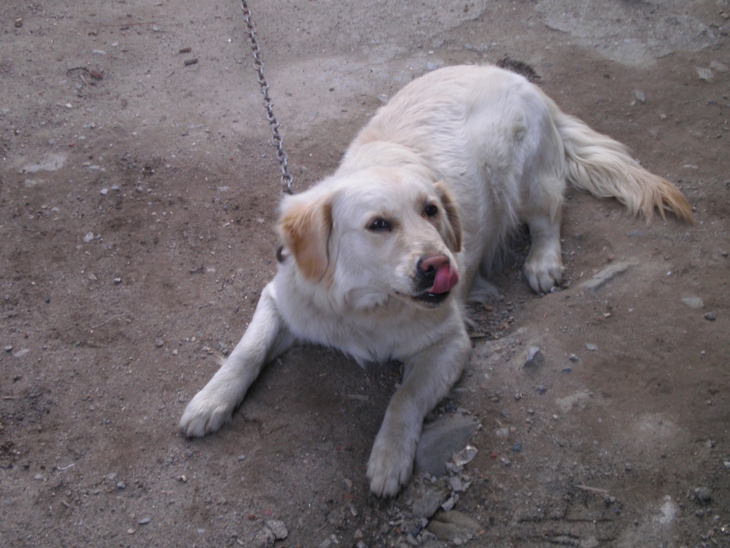 Picture 330