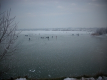 IMG 0357