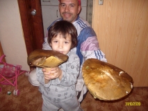 Манатарки големи