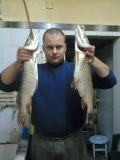 Снимка0302.jpg