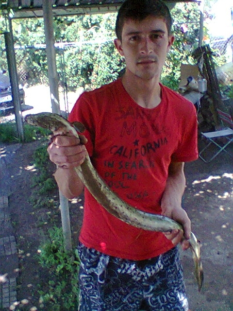 Снимка0016.jpg
