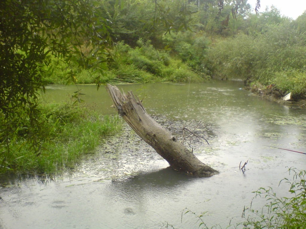 Реката.05.JPG