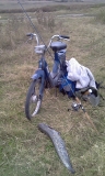 IMAG0201