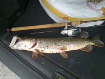 Photo0074