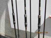 starbaits
