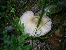 PIC 0124