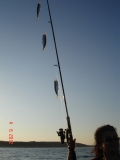 DSC04581