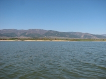 IMG 4356
