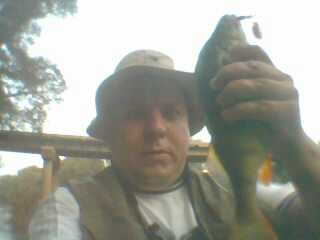 Picture 003