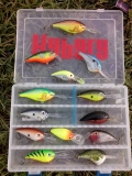Rapala & Storm