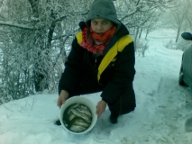 6.01.2011 р.янтра