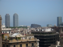 IMG 6536