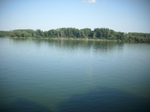 IMG 6977