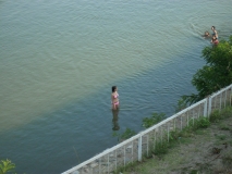 IMG 7043